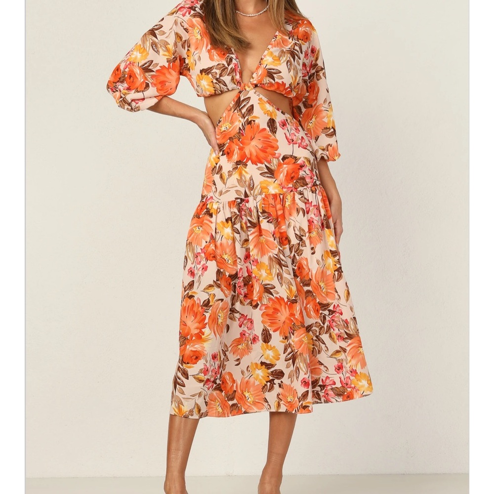 NWT Runway Scout Beth Dress